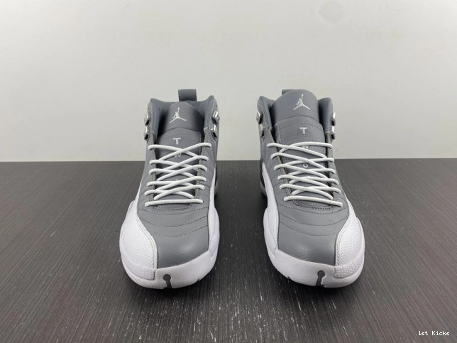 Grey Particle 9 Jordan CT8019-060 Retro 0617